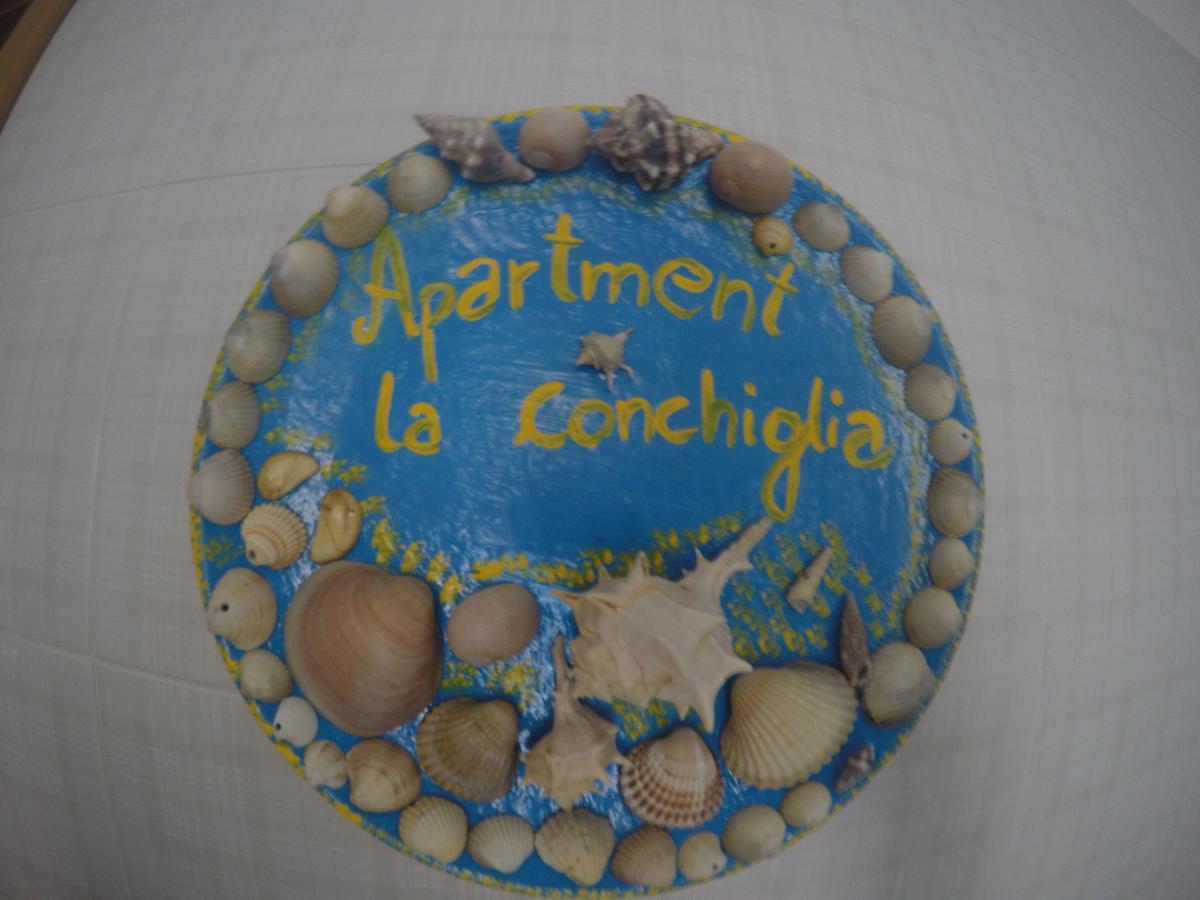 La Conchiglia *