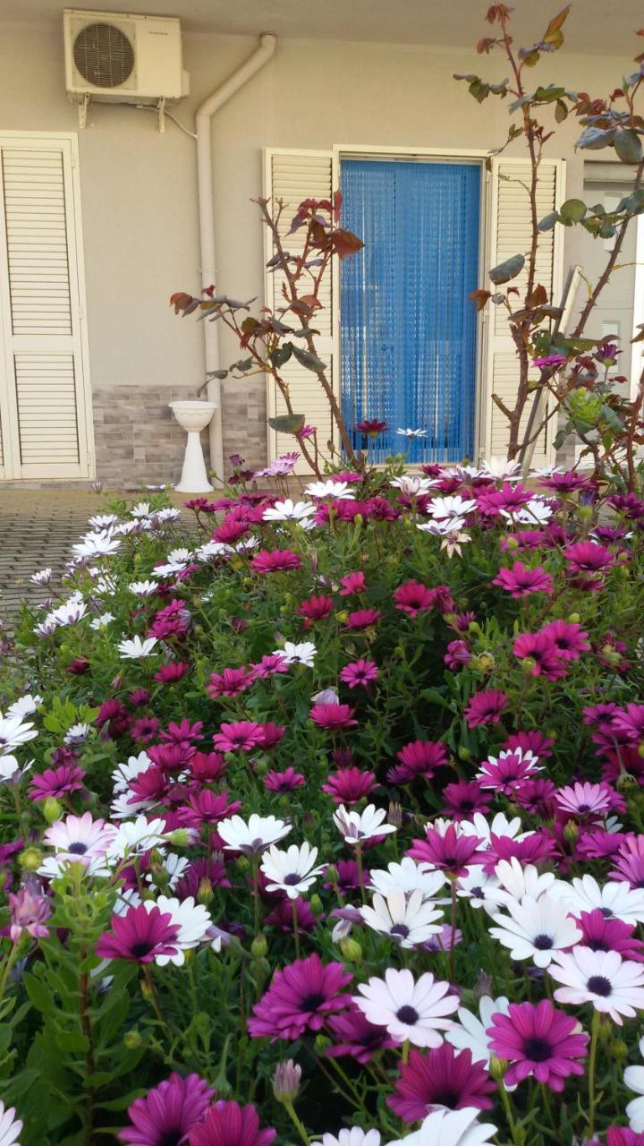 Holiday home La Conchiglia Menfi
